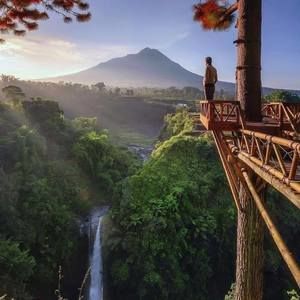 Meet your Posher, Joy